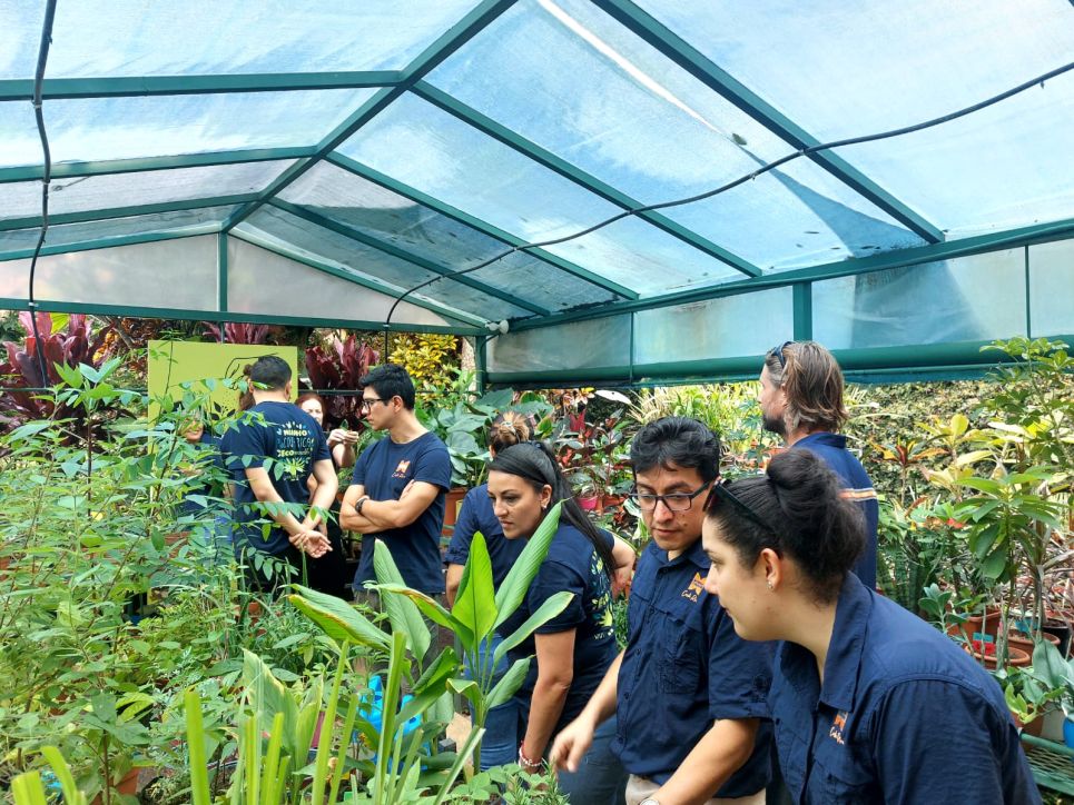 the morpho evasions team on a visit
