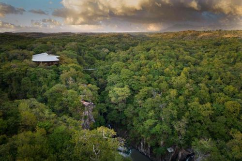 tropical forest immersion in costa rica