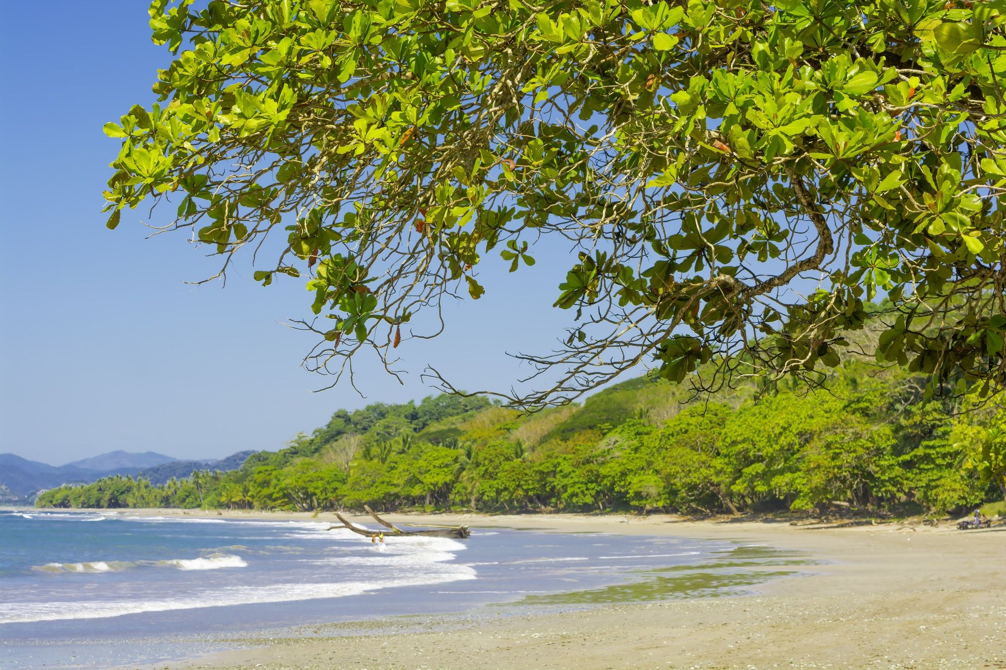 plage manzanillo