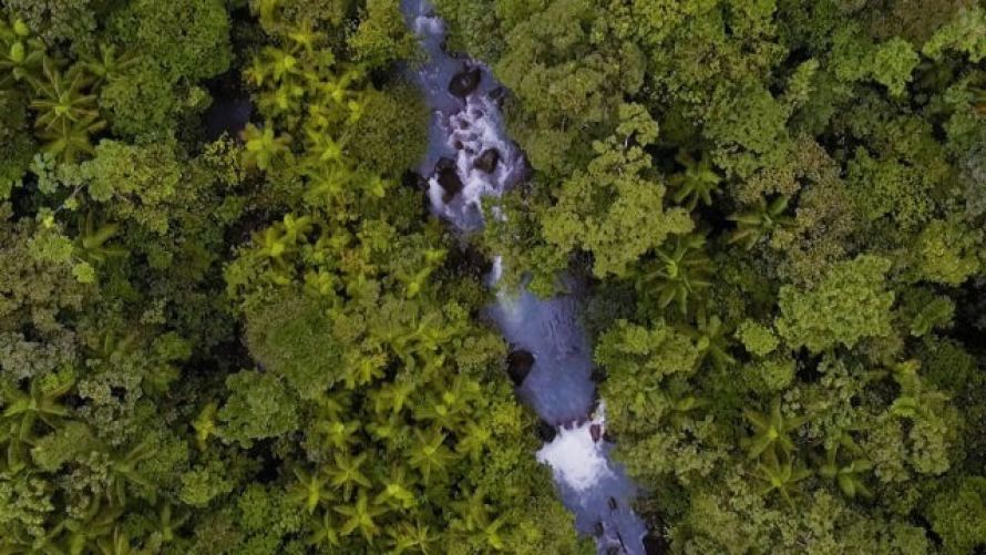 Rio Celeste