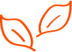 design feuilles