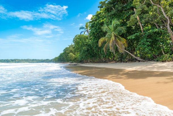plage ensoleillée du parc national cahuita