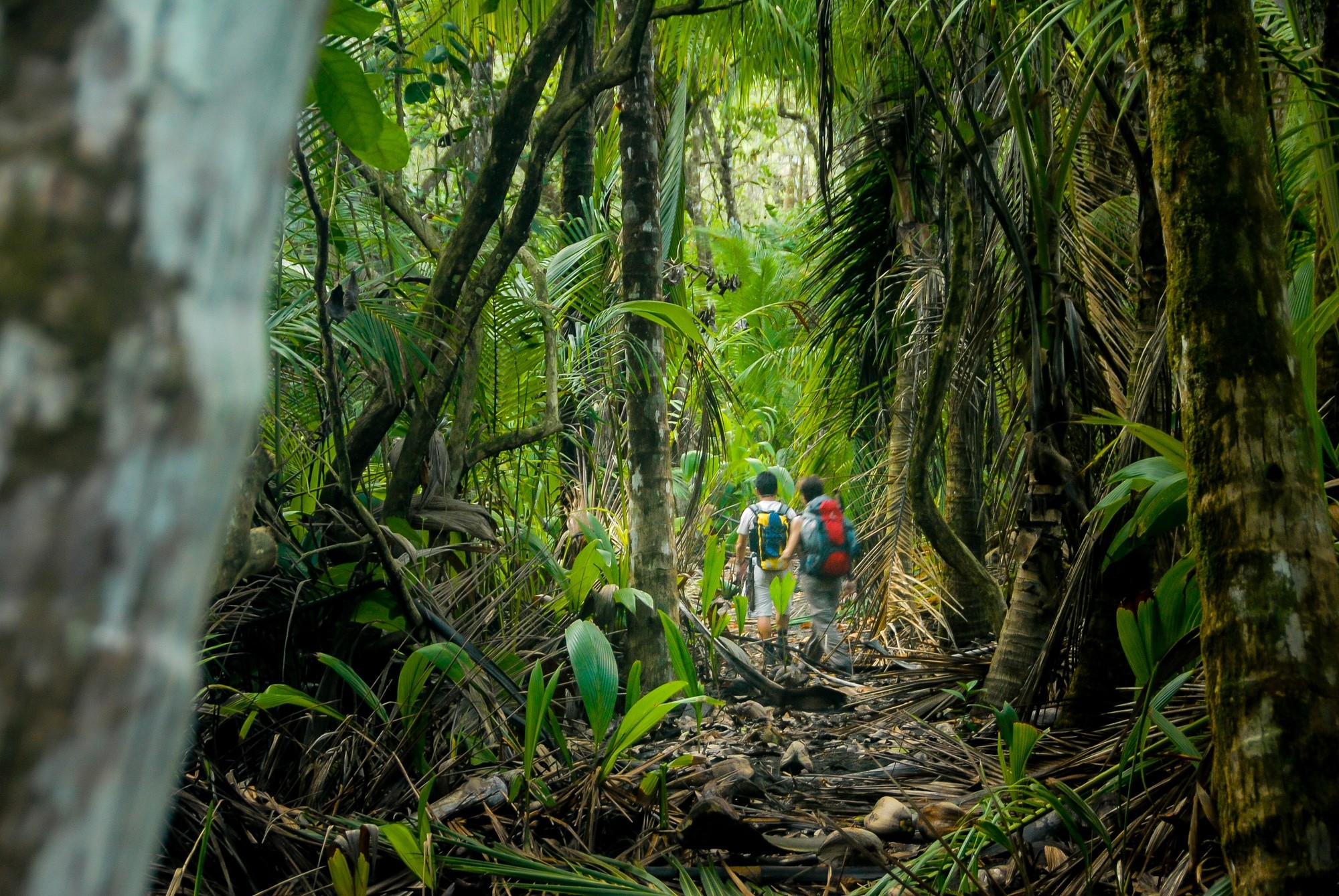 parc national corcovado