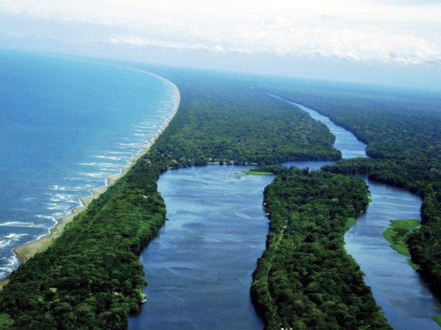 Tortuguero costa rica