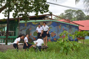 enfant tortuguero