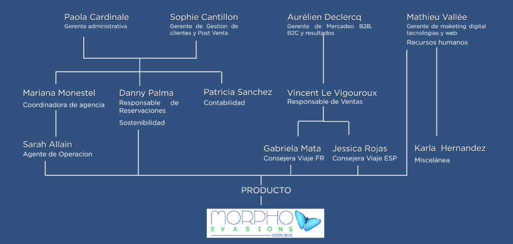 organigramme Morpho Evasions