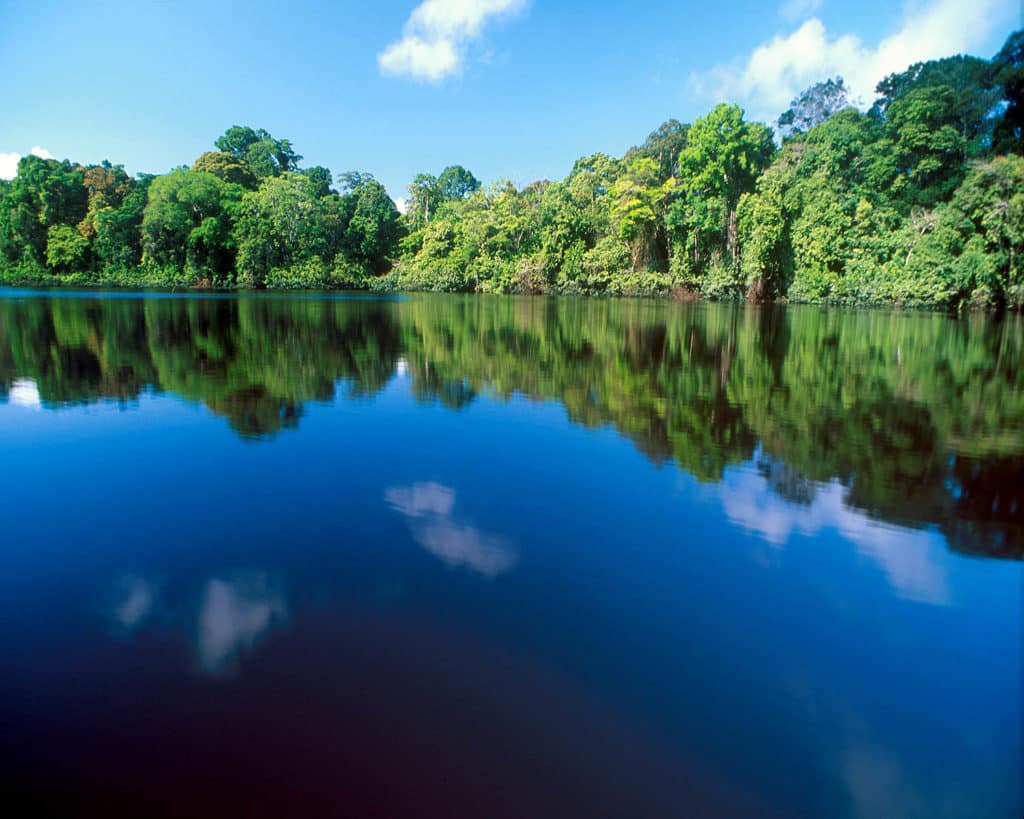 tortuguero costa rica