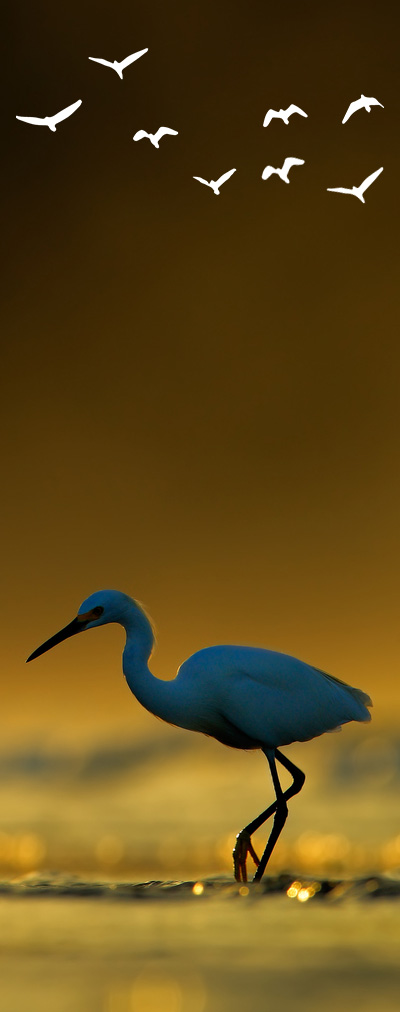 viajes sostenibles en costa rica