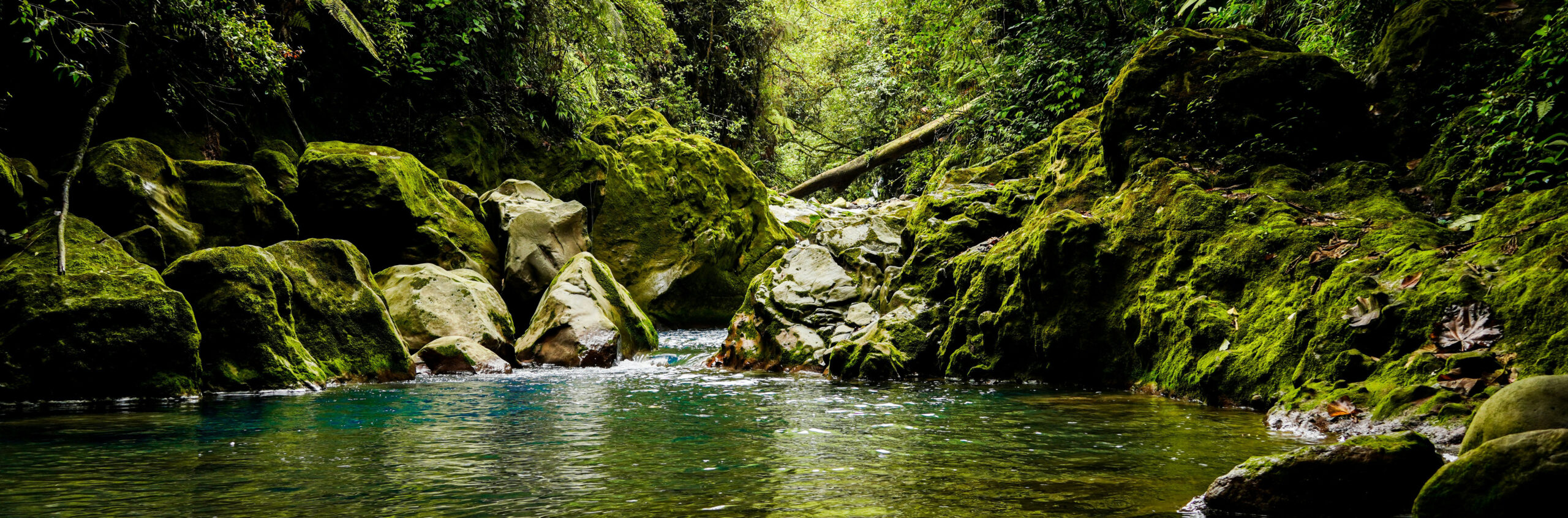cascade bajo del toro costa rica