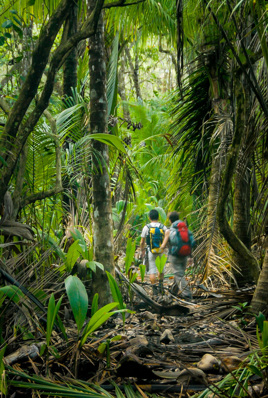 parc national corcovado