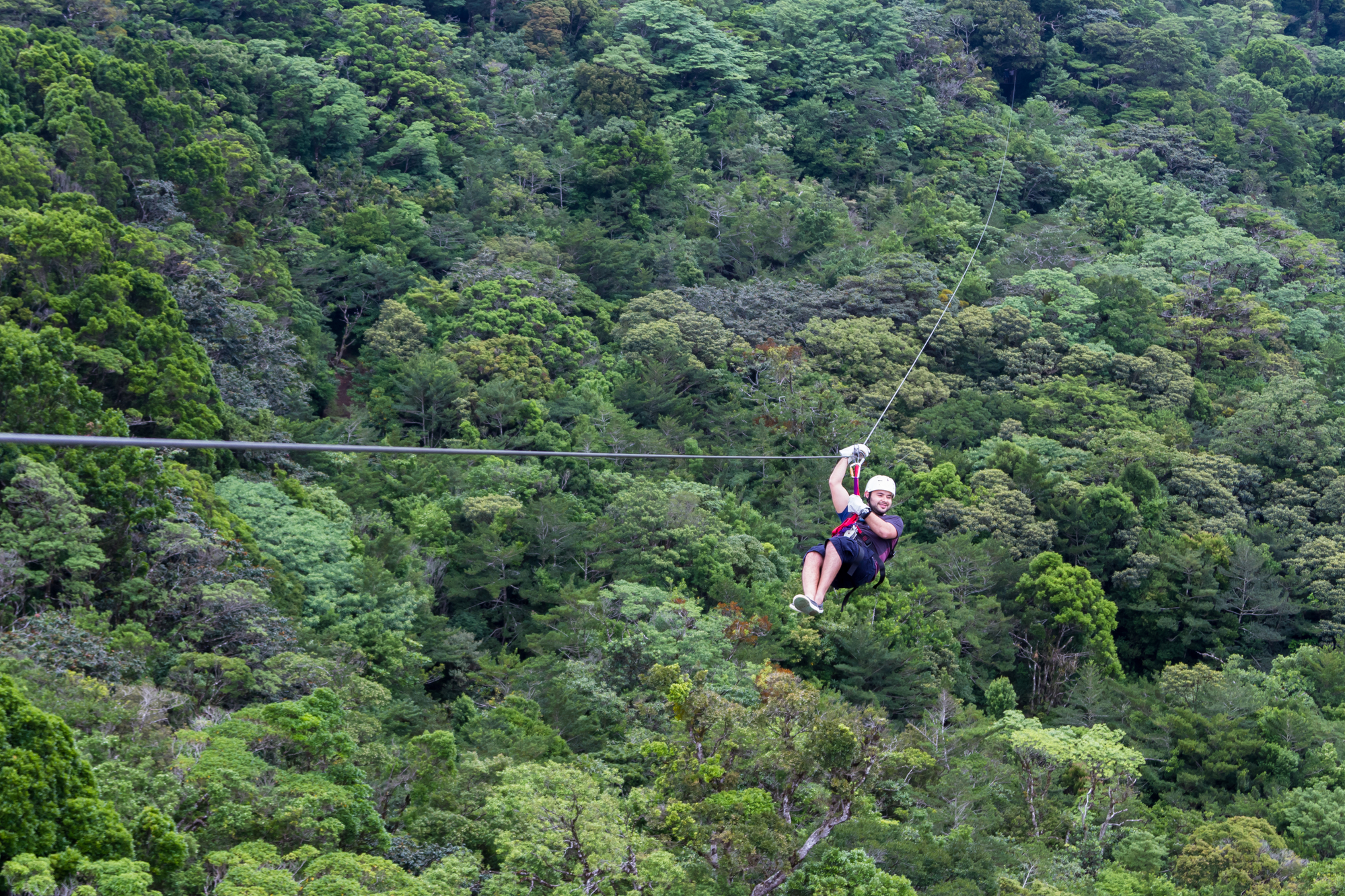 costa rica canopy