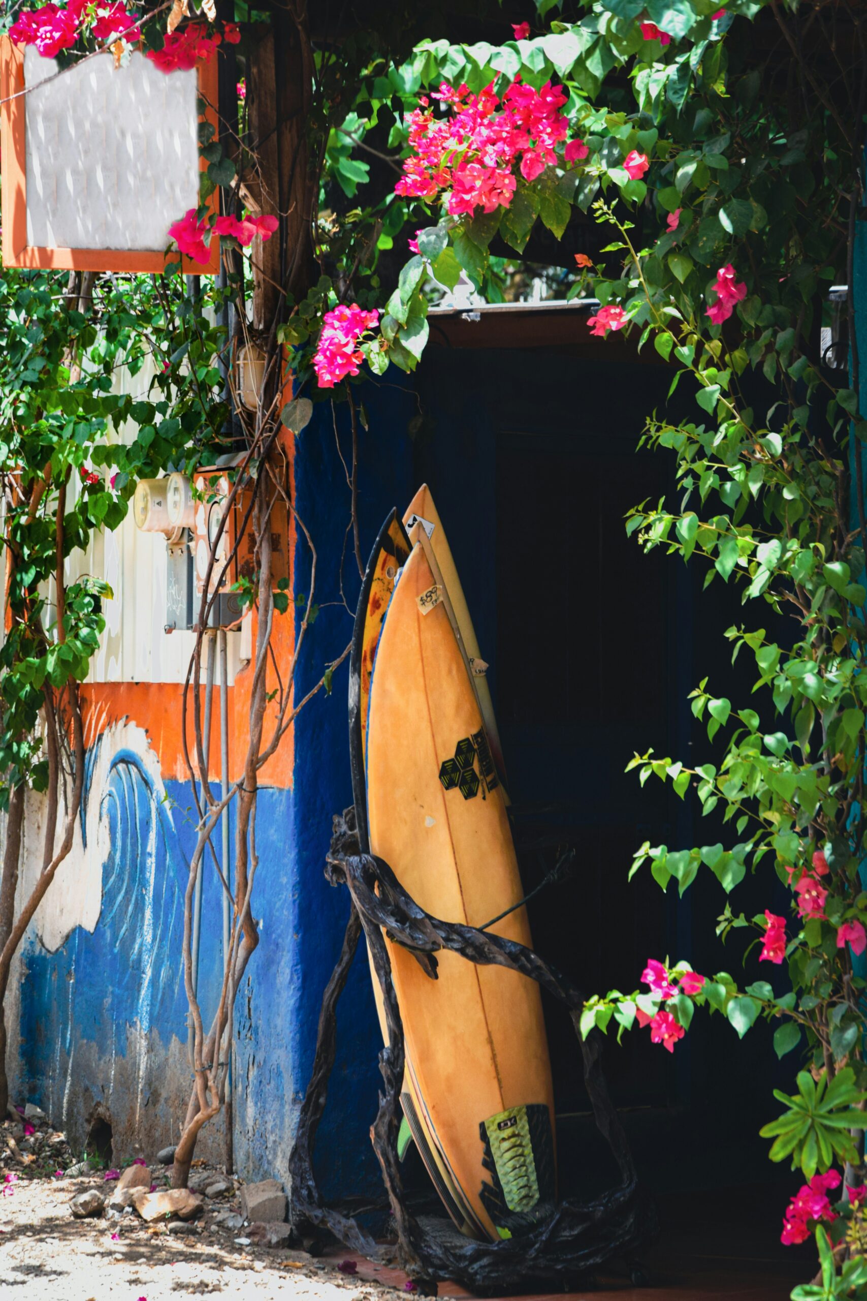plache de surf sur un mur au costa rica