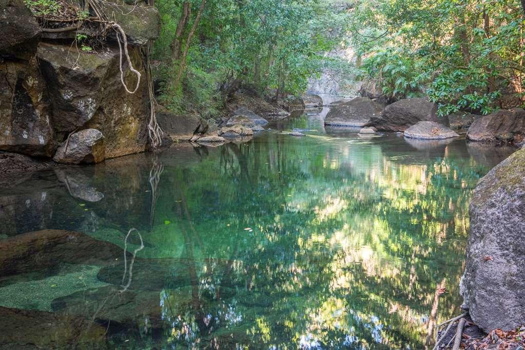 rivière et forêt au costa rica