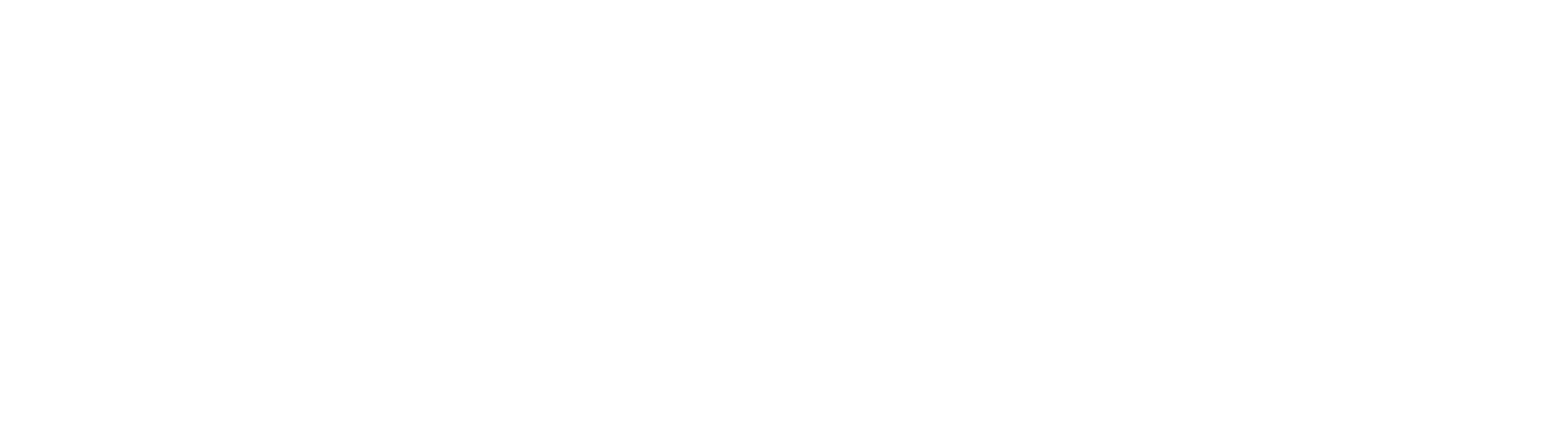 Logo cst elite