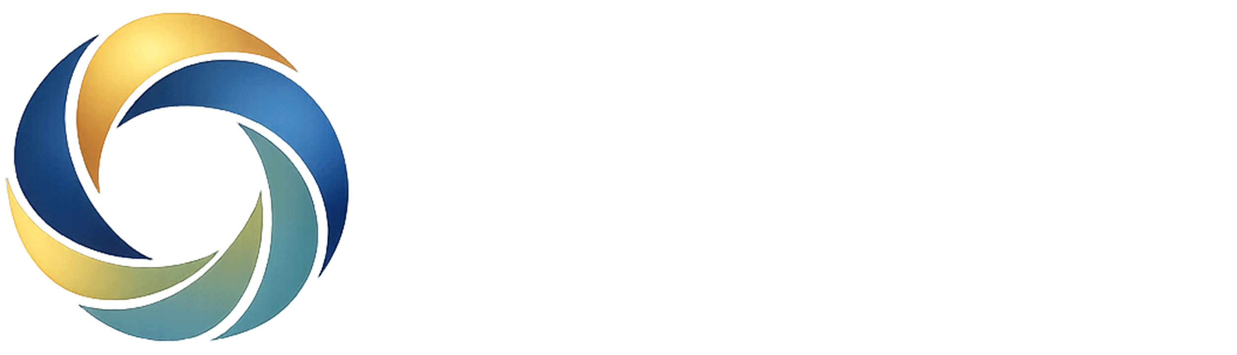 Logo dmc alliance