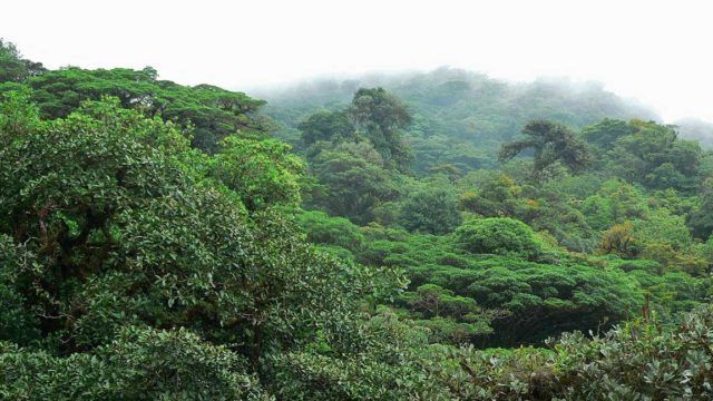 monteverde costa rica