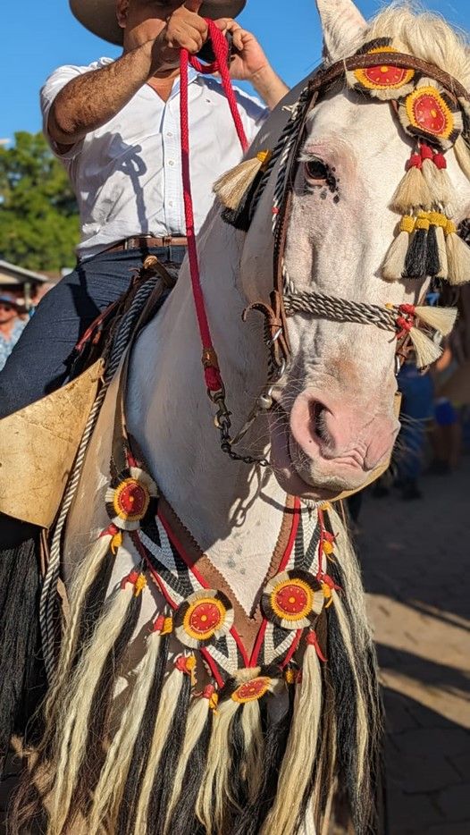 fête typique guanacste