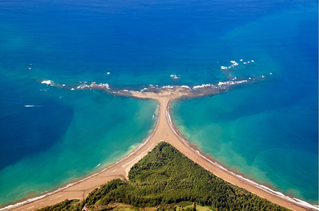 queue de baleine à uvita