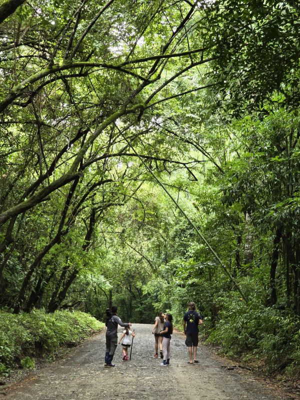 orntihologie au costa rica en famille