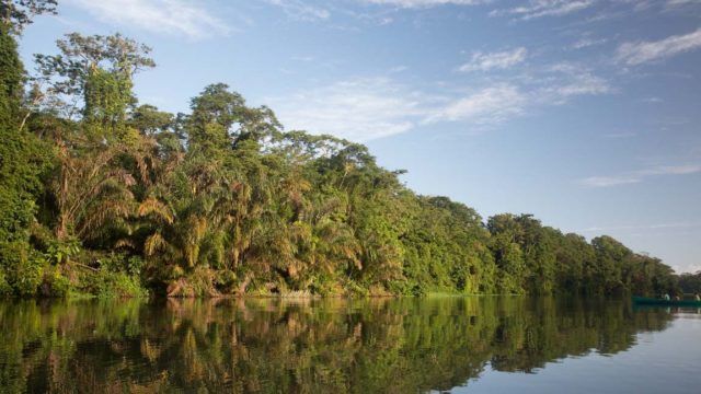 tortuguero costa rica