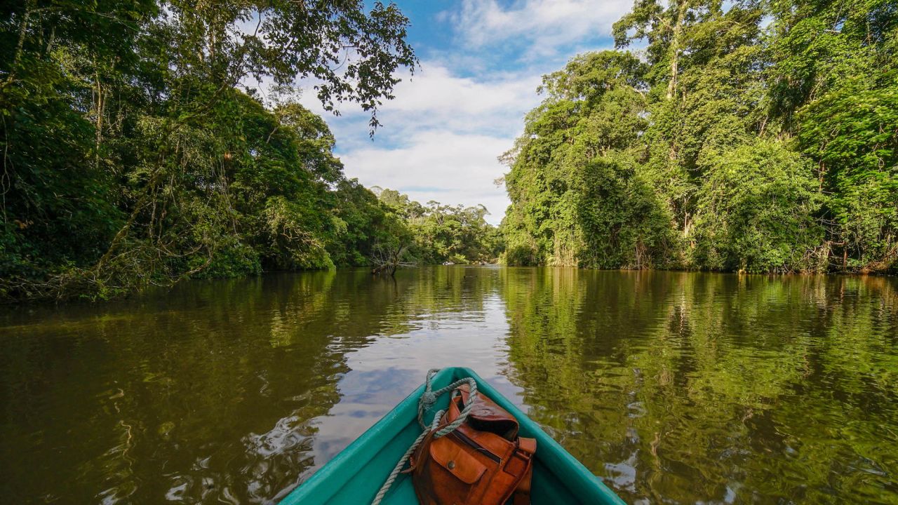 Canal de Tortuguero au costa rica