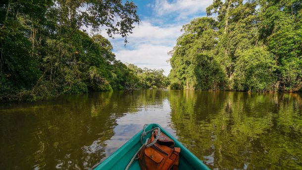 Canal de Tortuguero au costa rica